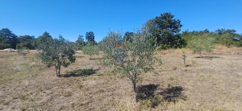 Działka Na sprzedaż - ISTARSKA SVETVINČENAT