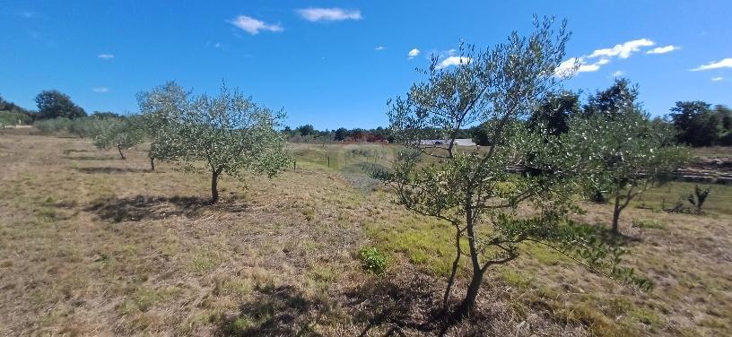 Działka Na sprzedaż - ISTARSKA SVETVINČENAT