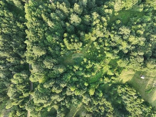 Działka Na sprzedaż - Primorsko-goranska Ravna Gora - foto 2/2