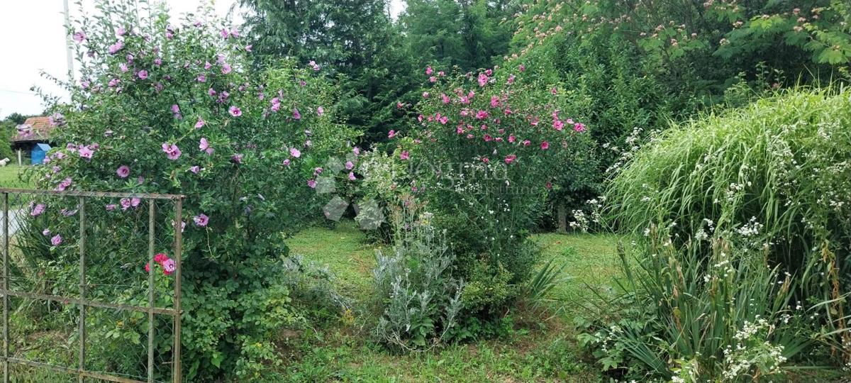 Działka Na sprzedaż - Bjelovarsko-bilogorska Ivanska - foto 4/4