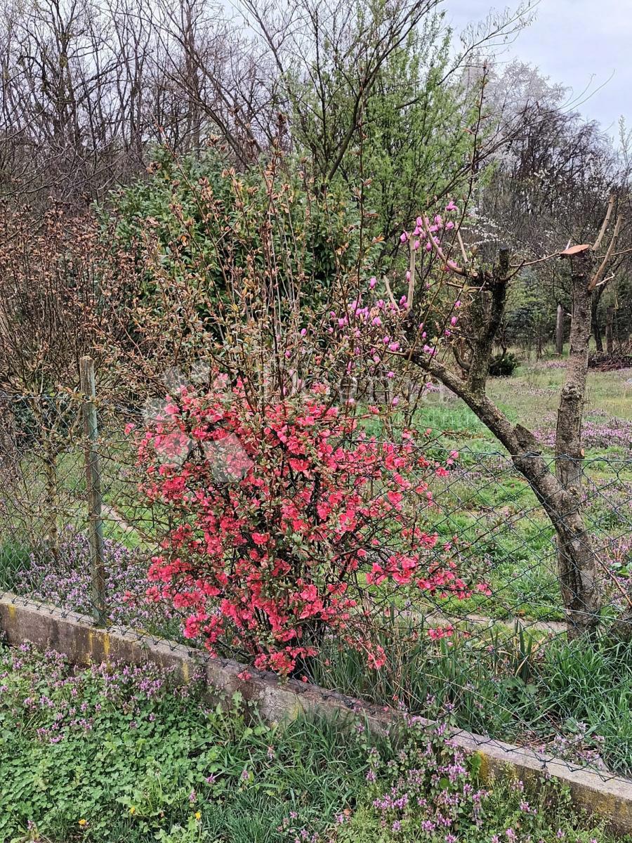 Parcela Naprodaj - BJELOVARSKO-BILOGORSKA Ivanska