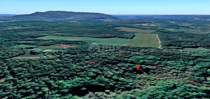 Land for sale 21583 m² – Labin