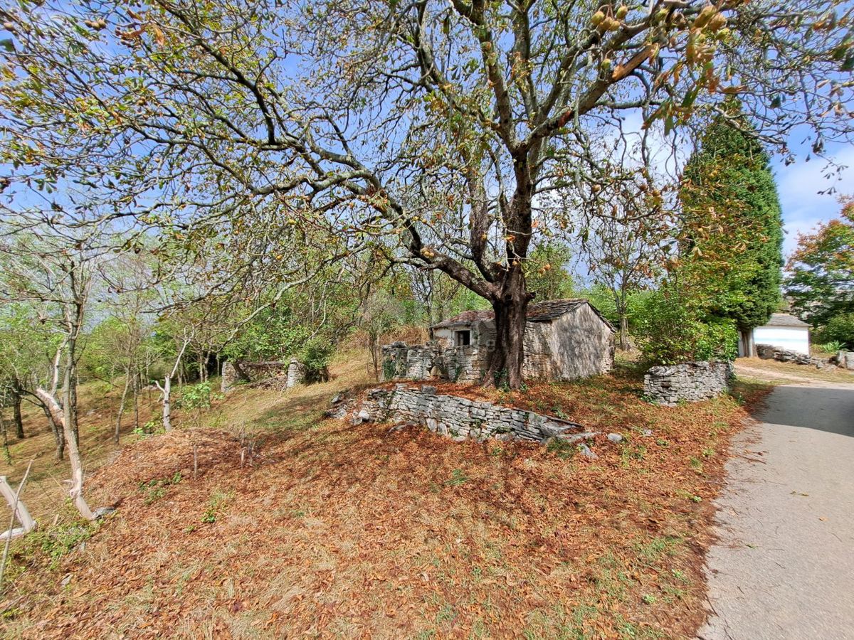 Haus Zu verkaufen - ISTARSKA OPRTALJ