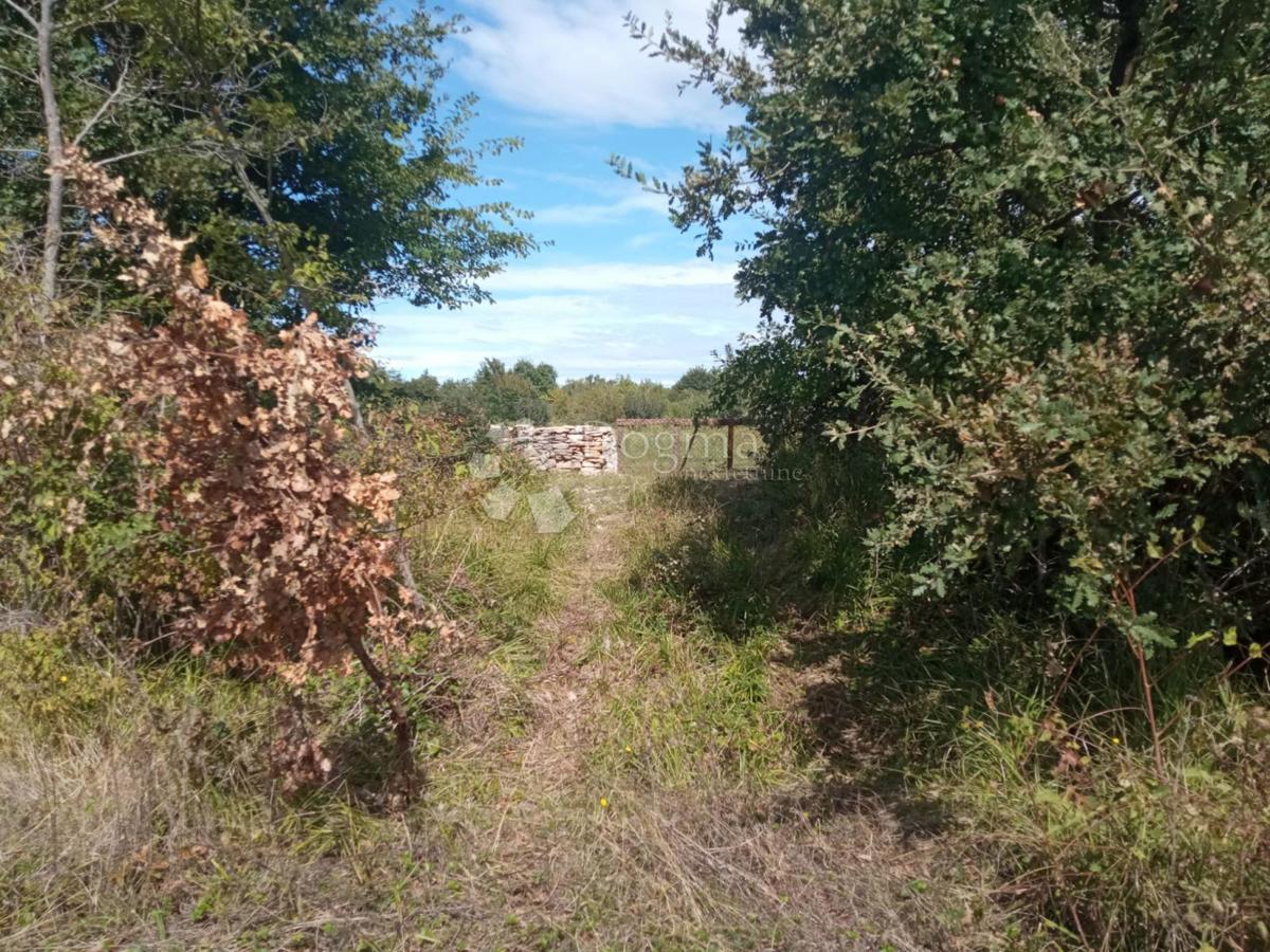 Terreno In vendita - Istarska Kanfanar - foto 2/6