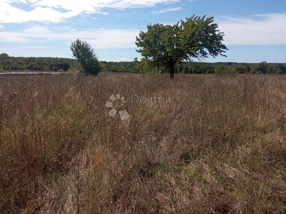 Terreno In vendita - Istarska Kanfanar - foto 1/8