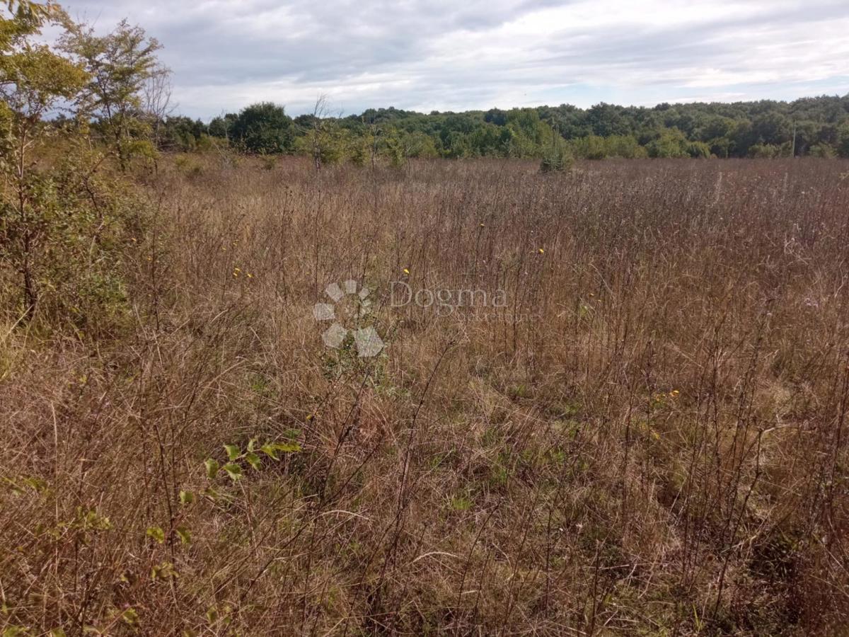 Terreno In vendita - Istarska Kanfanar - foto 3/8
