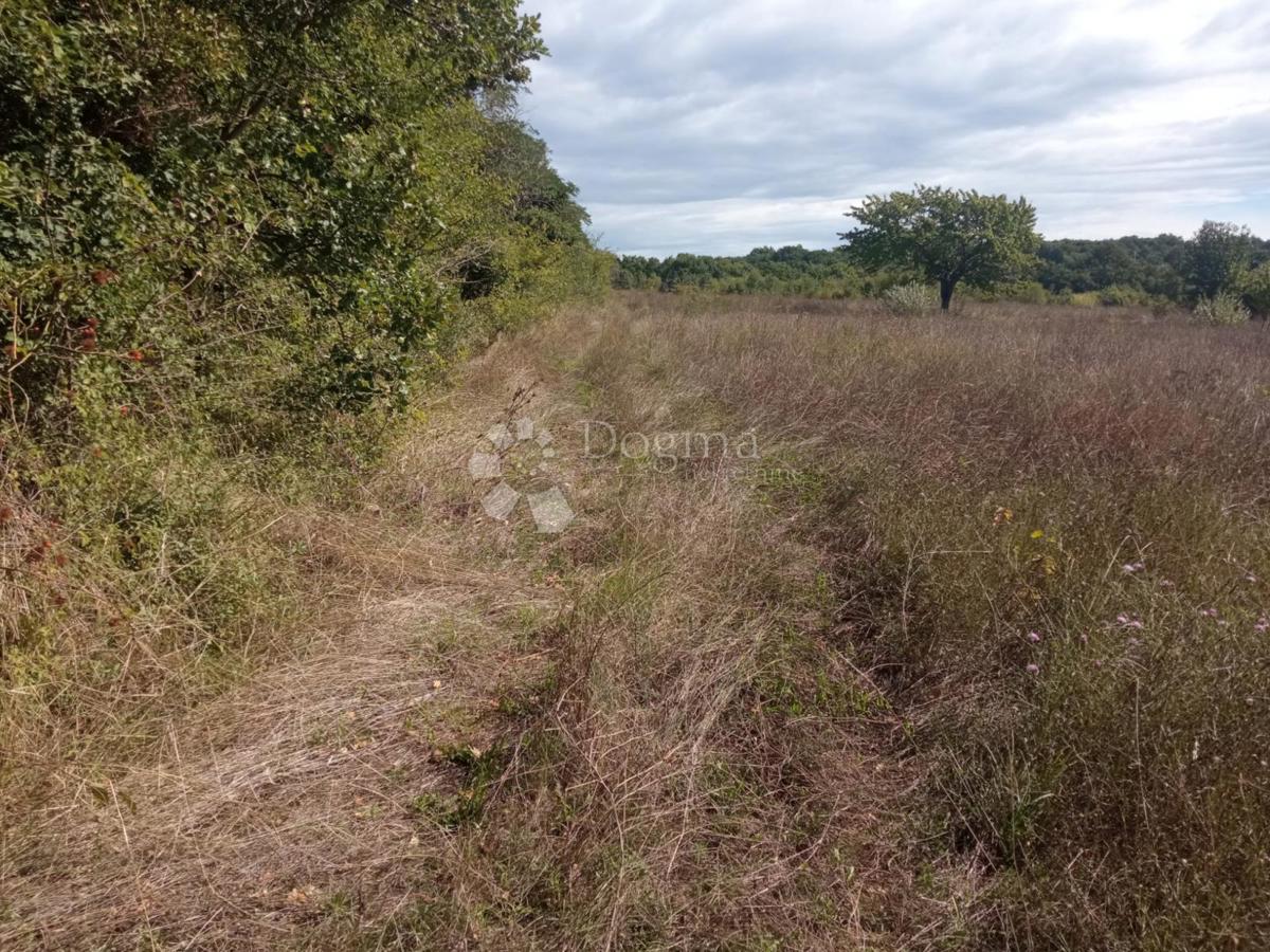 Terreno In vendita - ISTARSKA KANFANAR