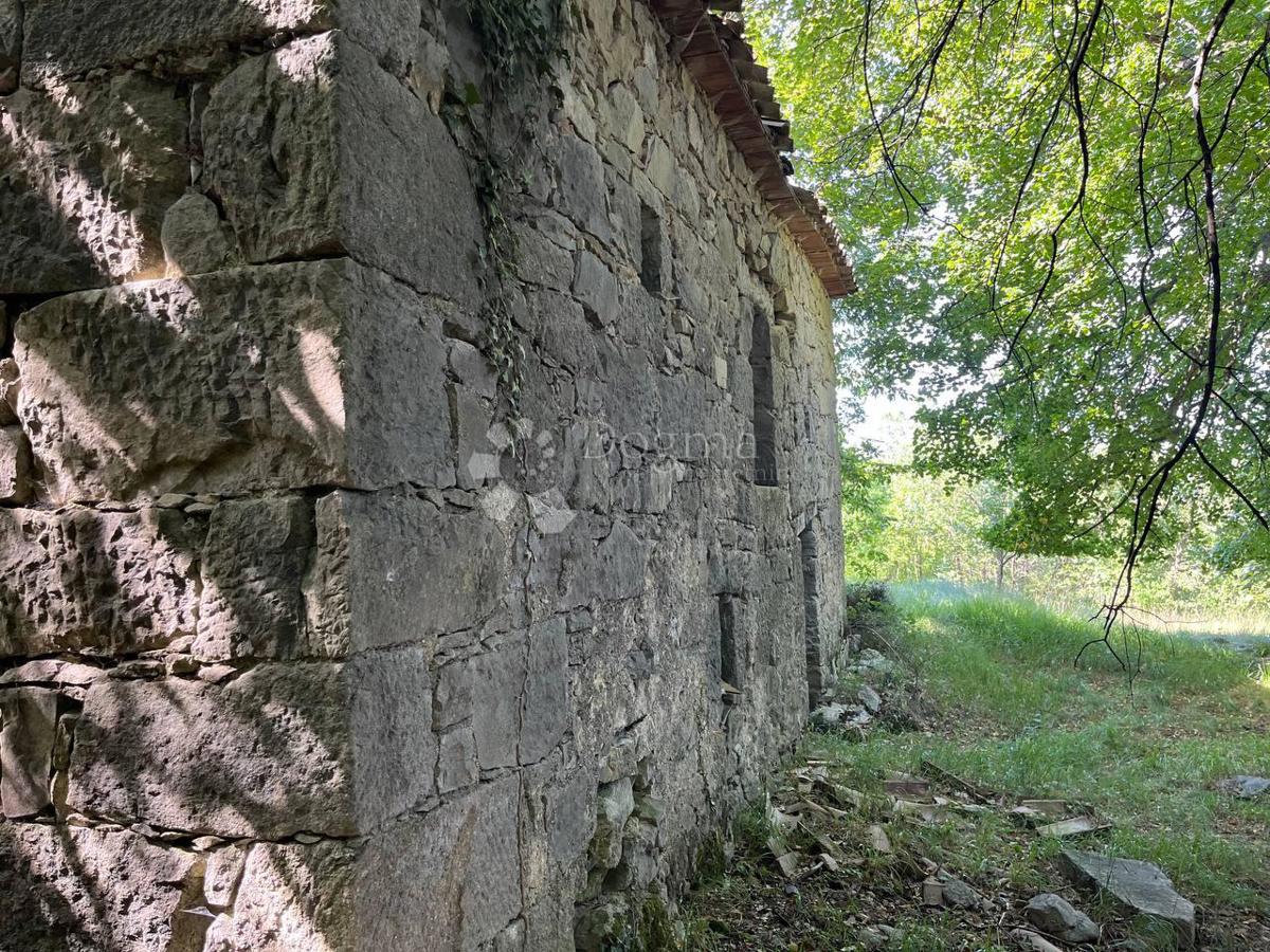 Haus Zu verkaufen - ISTARSKA LUPOGLAV