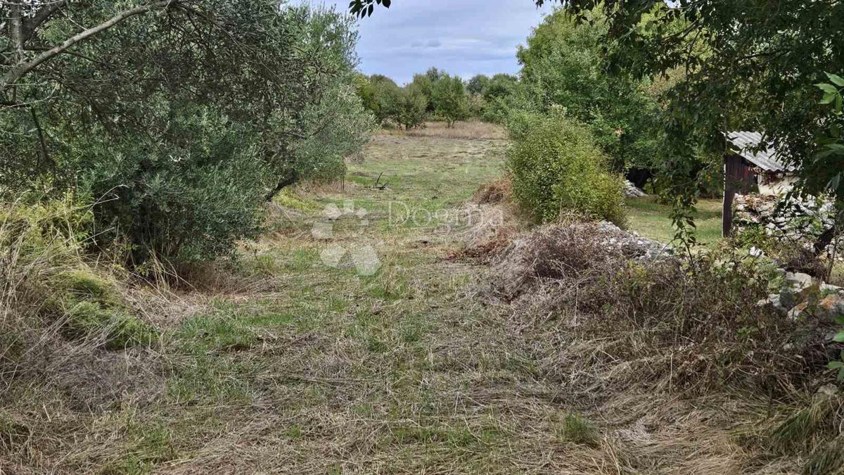 Land For sale - ISTARSKA MARČANA