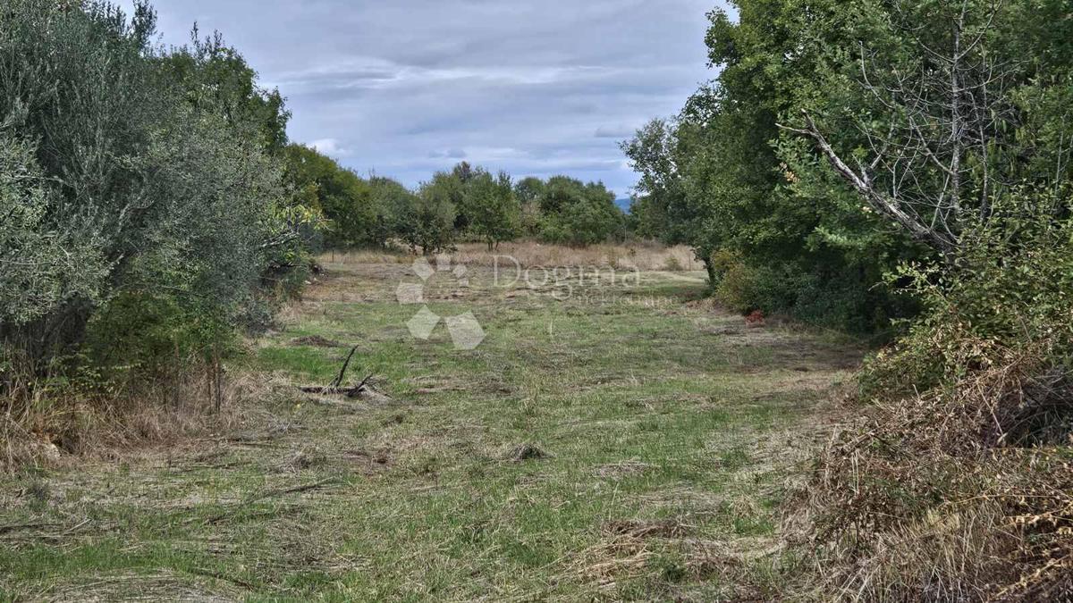 Land For sale - ISTARSKA MARČANA