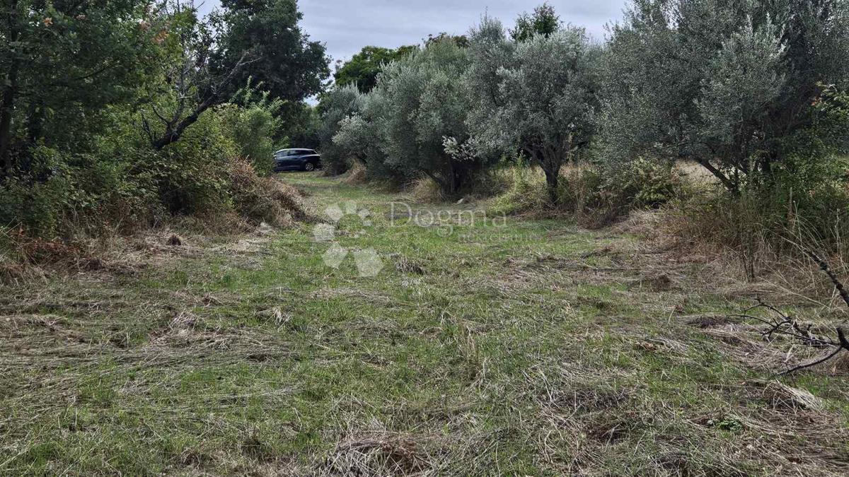 Zemljište Na prodaju - ISTARSKA MARČANA