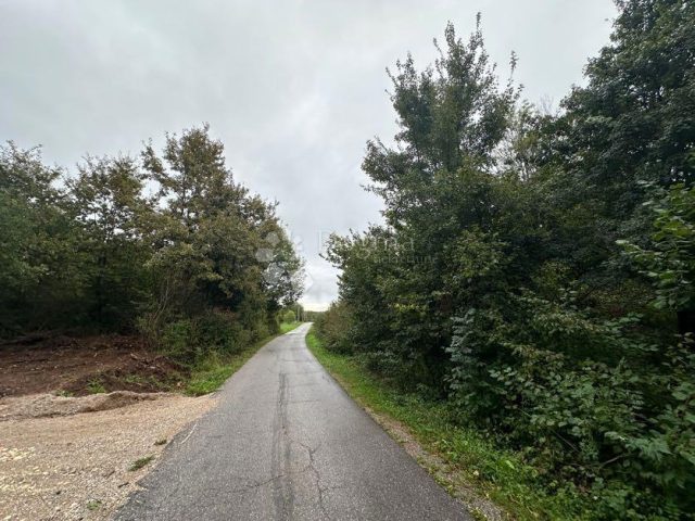 Pozemek na prodej 1824 m² – Smiljan