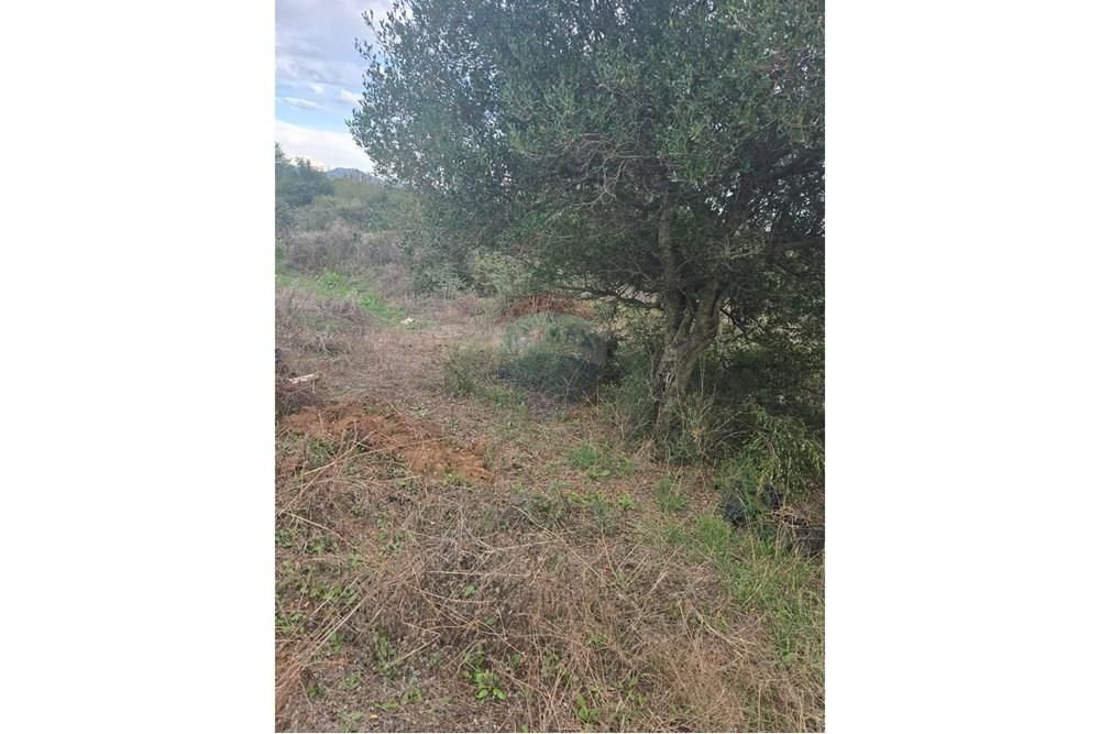 Land For sale - ZADARSKA SVETI FILIP I JAKOV