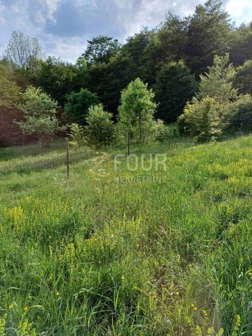 Terreno in vendita 7460 m² – Zlobin