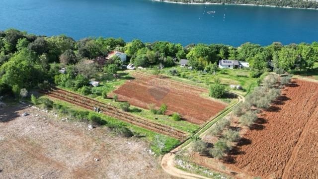 Terrain à vendre 10038 m² – Rovinj