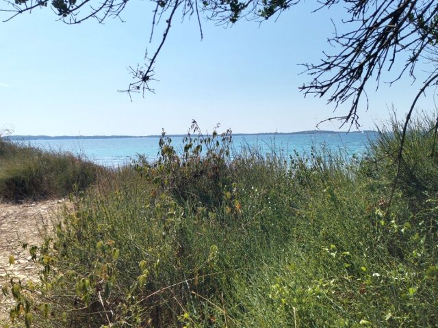Land For sale - Istarska Pula - foto 4/16