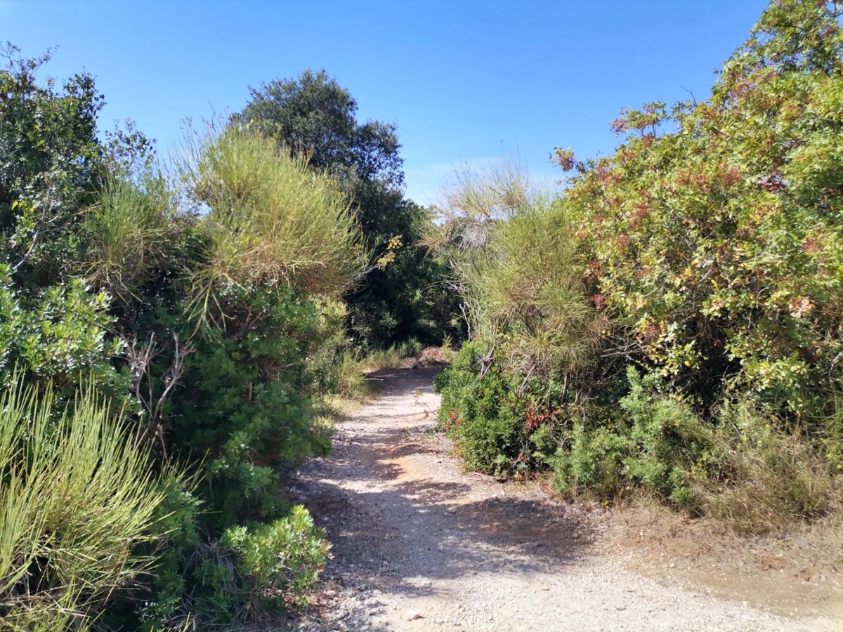 Land For sale - ISTARSKA Pula