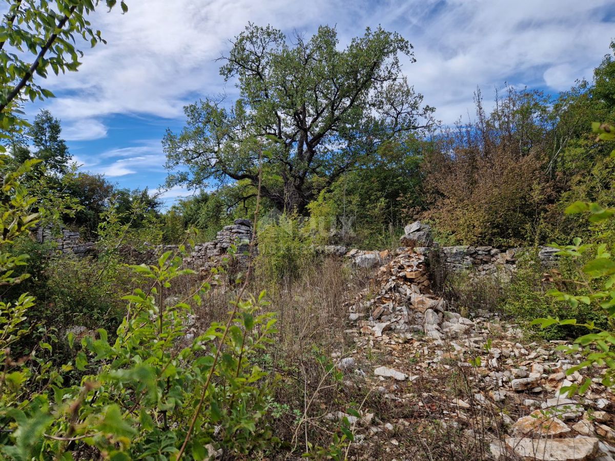 Land For sale - ISTARSKA SVETVINČENAT