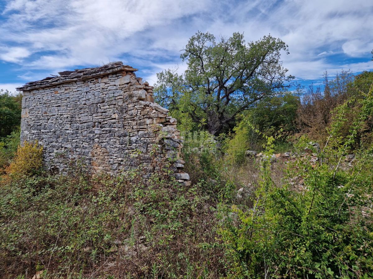 Parcela Naprodaj - ISTARSKA Svetvinčenat