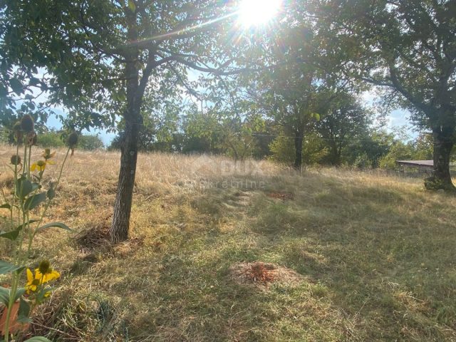 Pozemek na prodej 4176 m² – Cernik