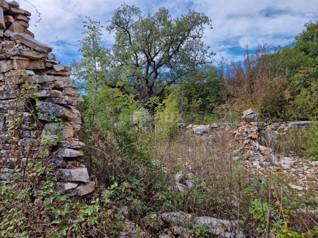 House For sale - Istarska Svetvinčenat - foto 5/5