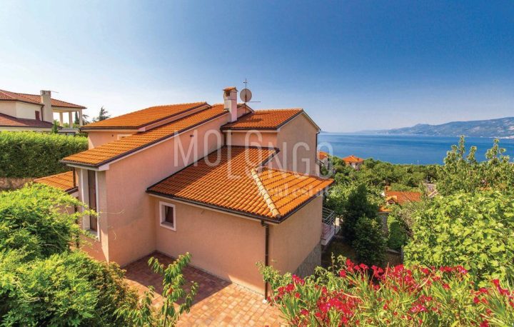 House For rent - Primorsko-goranska Rijeka - foto 3/29
