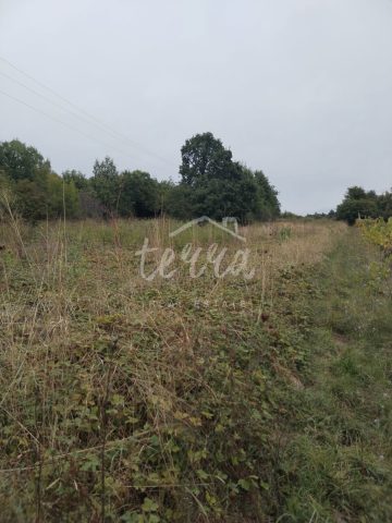 Grundstück zu verkaufen 1980 m² – Labin