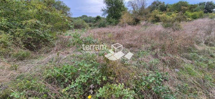 Grundstück zu verkaufen 10957 m² – Medulin