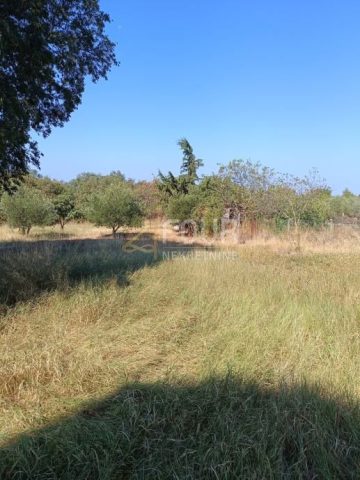 Pozemek na prodej 900 m² – Buje