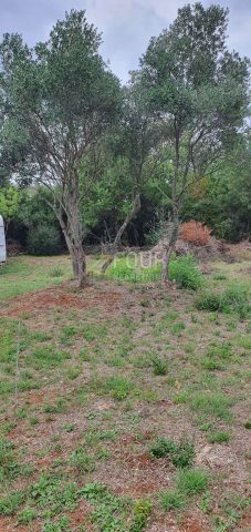 Terrain à vendre 1574 m² – Rovinj