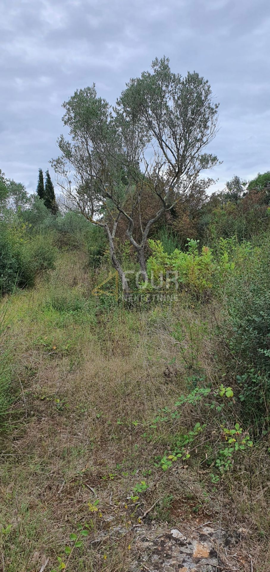 Terrain À vendre - ISTARSKA ROVINJ