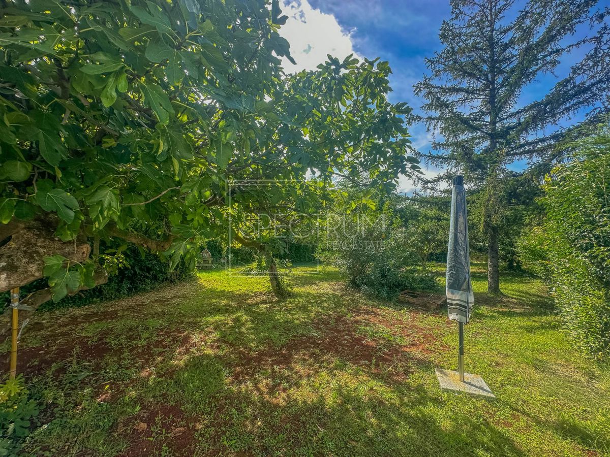 Appartamento In vendita - ISTARSKA Umag