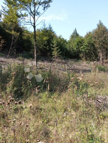 Land For sale - Primorsko-goranska Delnice - foto 4/6