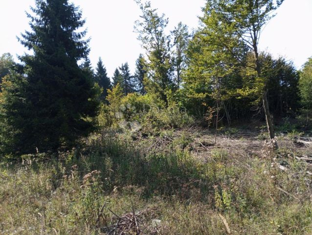 Land For sale - Primorsko-goranska Delnice - foto 5/6