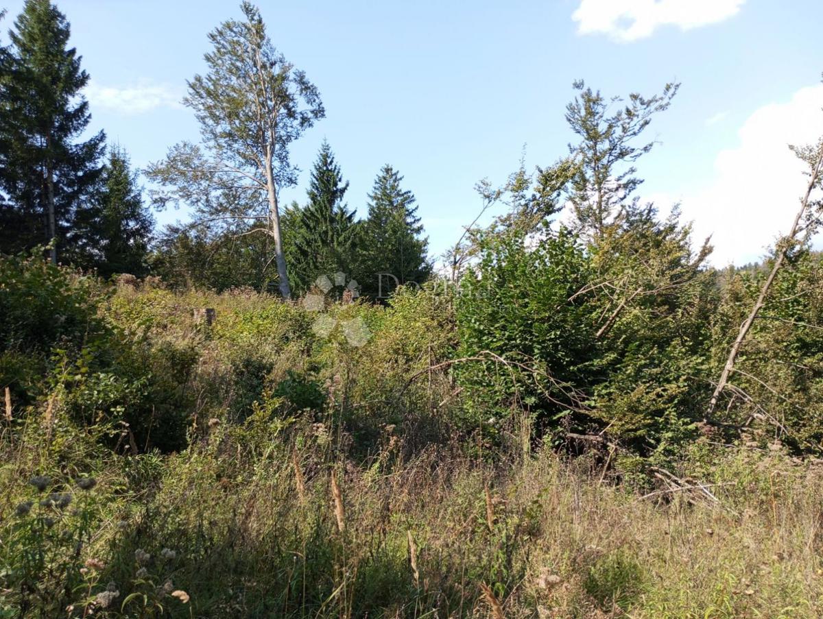 Terreno In vendita - PRIMORSKO-GORANSKA Delnice