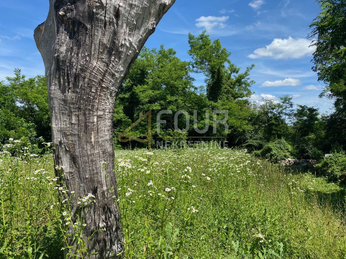 Land For sale - ISTARSKA ŽMINJ