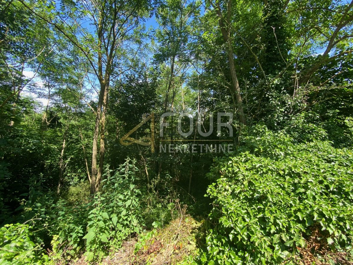 Land For sale - ISTARSKA ŽMINJ