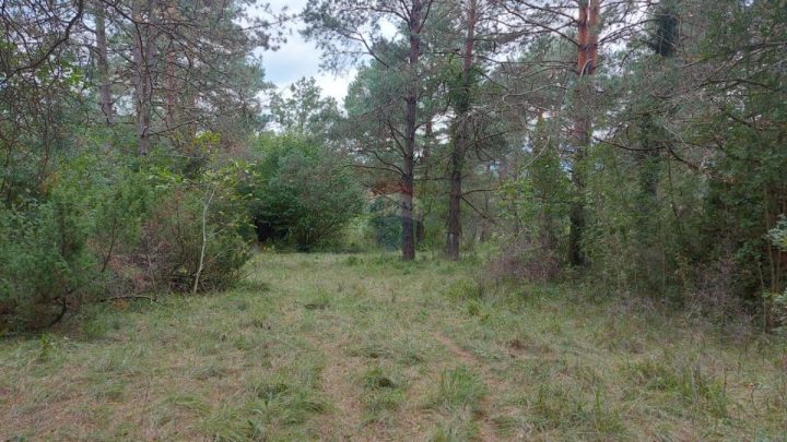 Land For sale - Primorsko-goranska Matulji - foto 2/2
