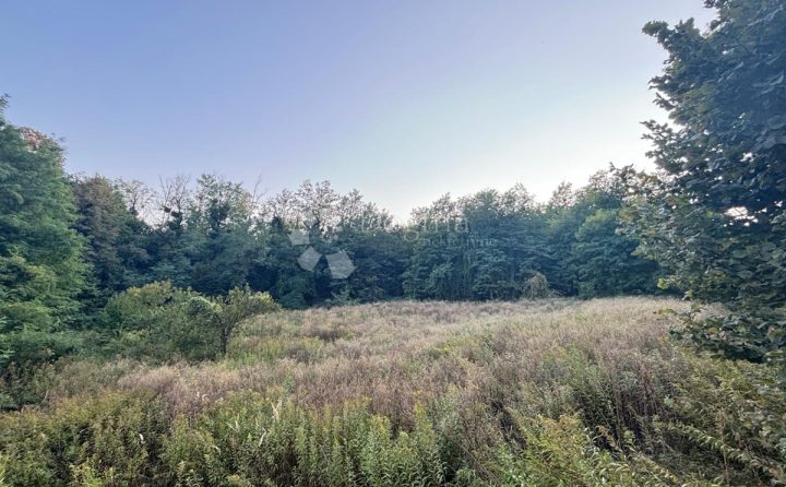 Pozemok na predaj 3355 m² – Slanje
