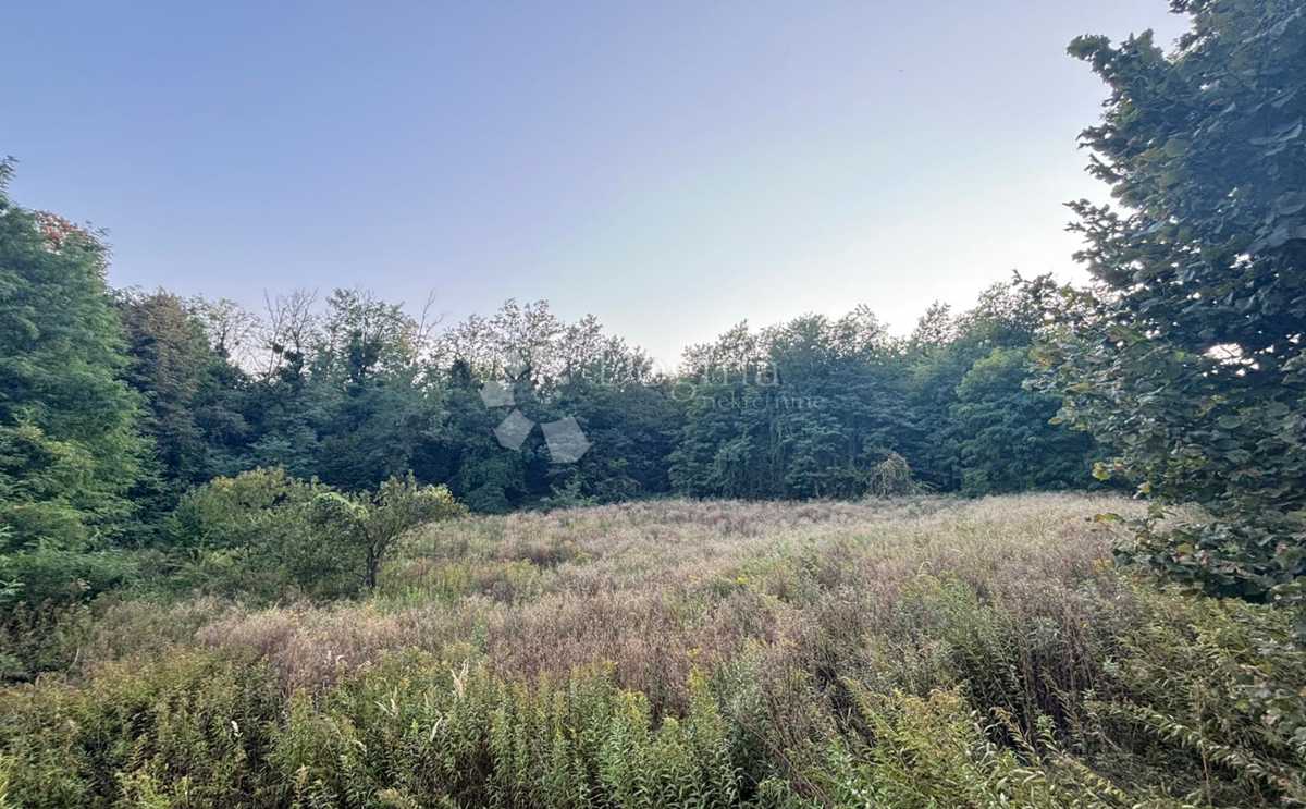 Działka Na sprzedaż SLANJE