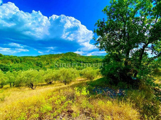 Zemljište na prodaju 2257 m² – Hum