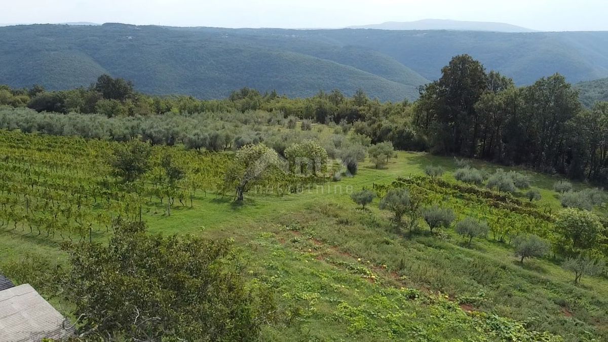 Parcela Na predaj - Istarska Barban - foto 2/10