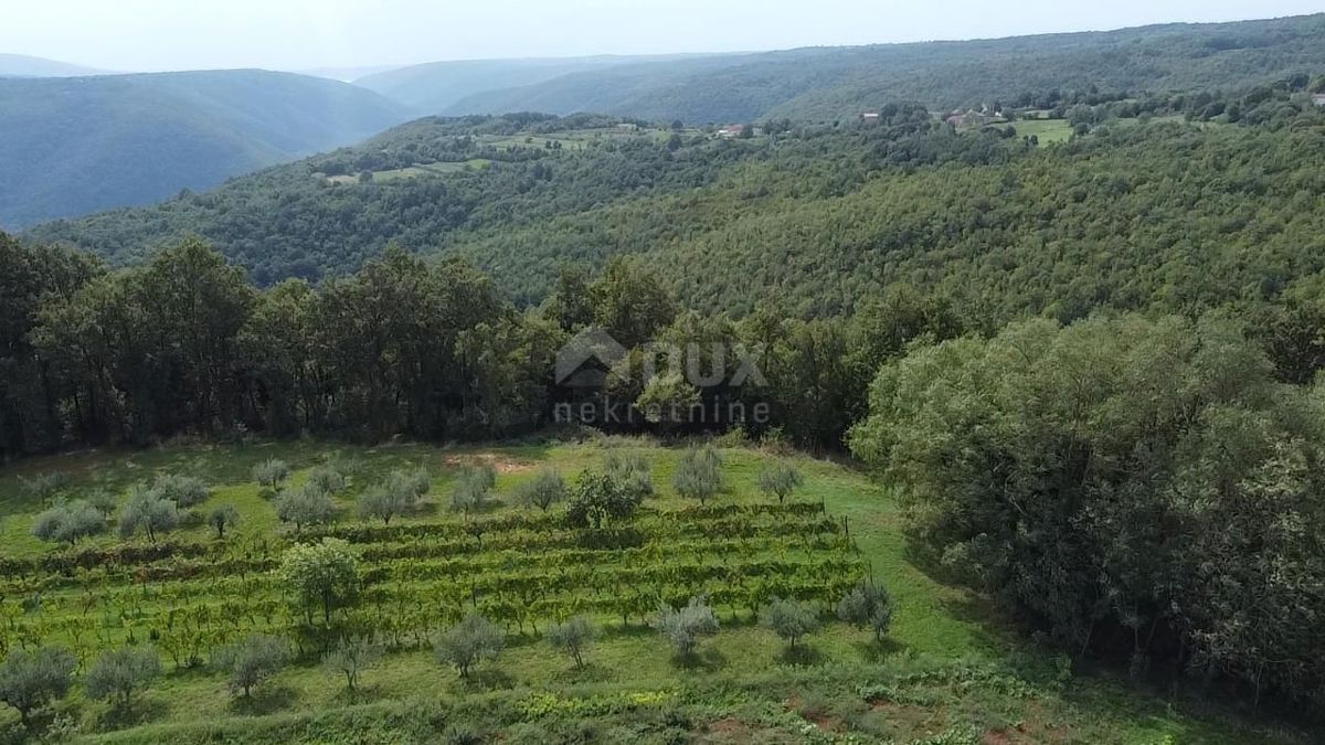 Parcela Na predaj - Istarska Barban - foto 4/10
