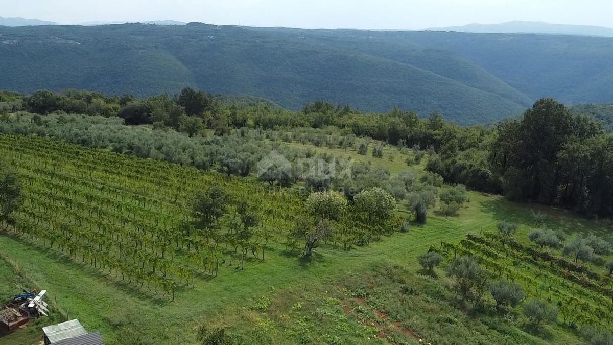 Parcela Na predaj - Istarska Barban - foto 5/10