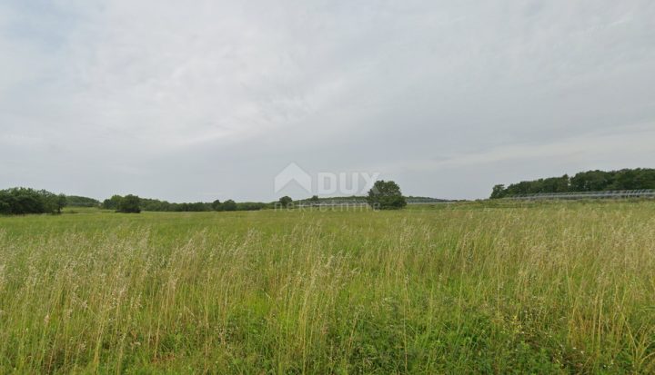 Zemljište na prodaju 24118 m² – Kaštelir