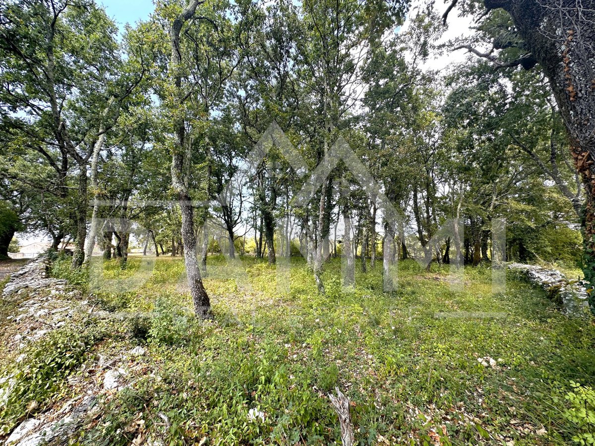 Parcela Naprodaj - ISTARSKA Tinjan