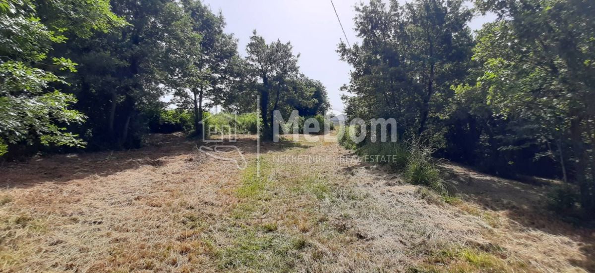 Land For sale - ISTARSKA SVETI PETAR U ŠUMI