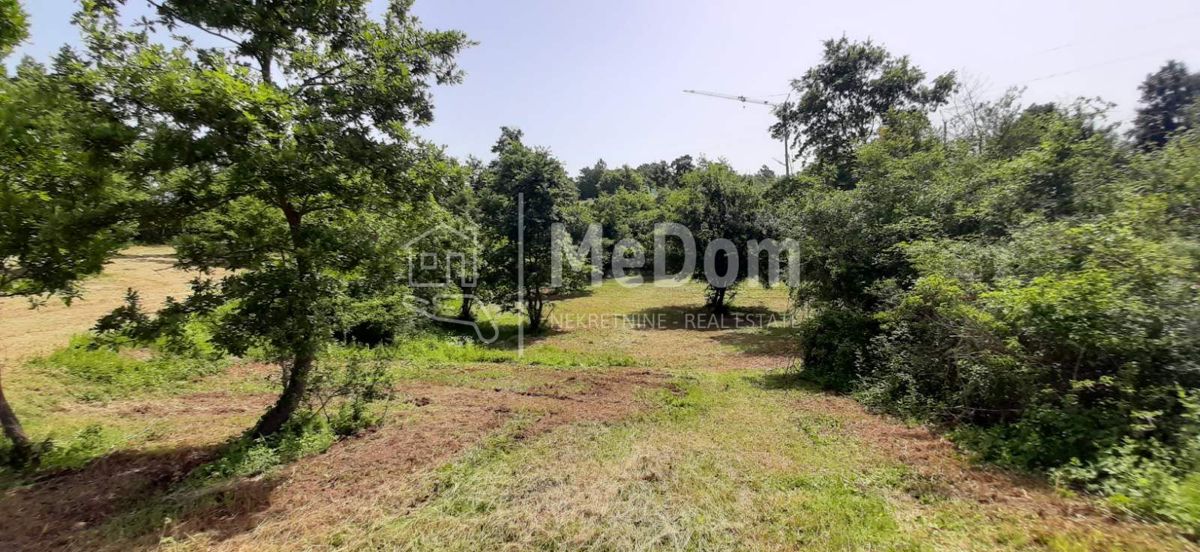 Land For sale - ISTARSKA SVETI PETAR U ŠUMI