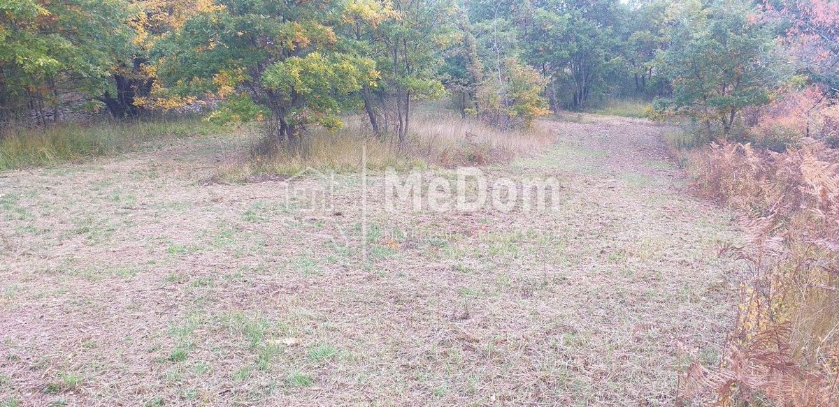 Land For sale - ISTARSKA SVETI PETAR U ŠUMI