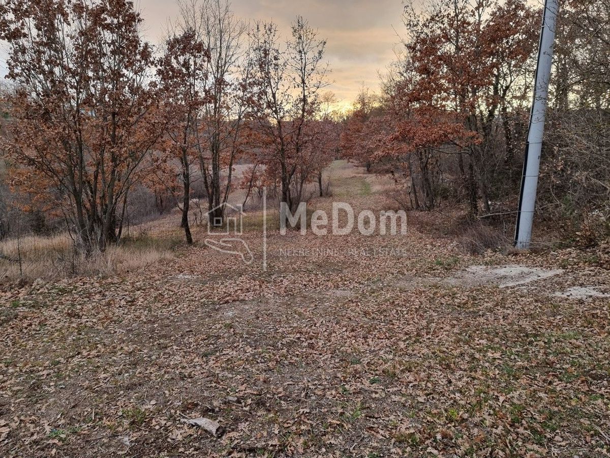 Land For sale - ISTARSKA SVETI PETAR U ŠUMI